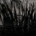 Sous le vent